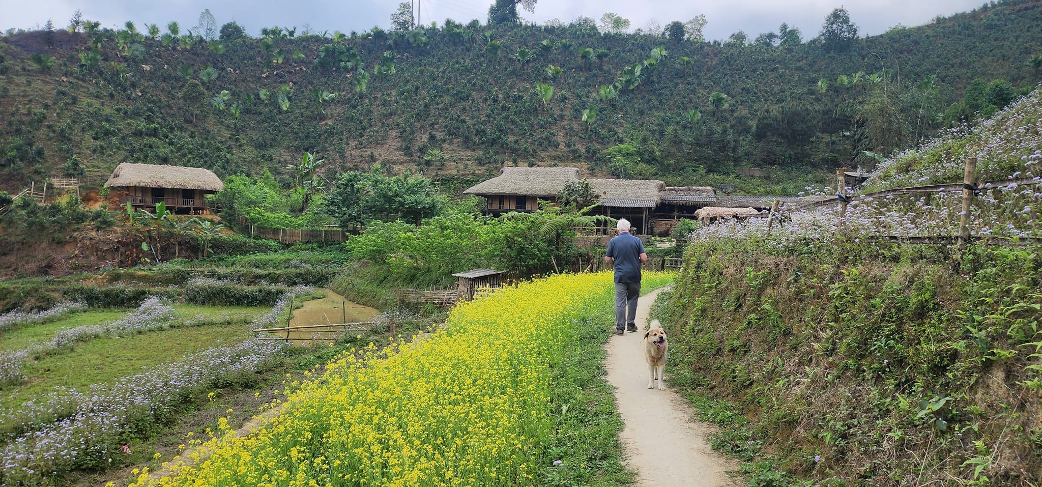 Northern Vietnam Trek Bac Ha, Ha Giang 5 Day Itinerary